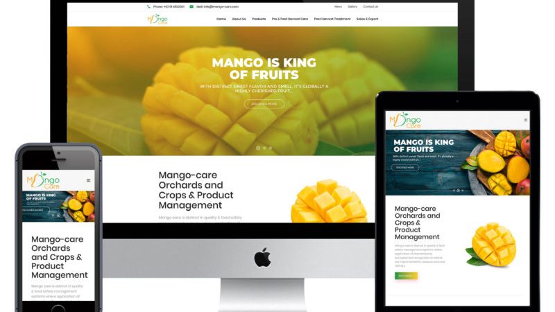 Mango-Care-800x535